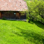 Dotacje do odnawialnych źródeł energii - Agroenergia - jak dobrze wniosek?