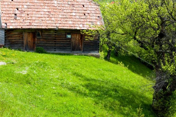 Dotacje do odnawialnych źródeł energii - Agroenergia - jak dobrze wniosek?